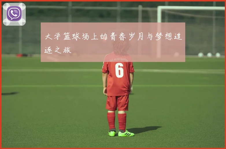 大学篮球场上的青春岁月与梦想追逐之旅