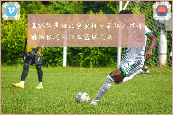 篮球队员证的重要性与获取流程详解助你迈向职业篮球之路