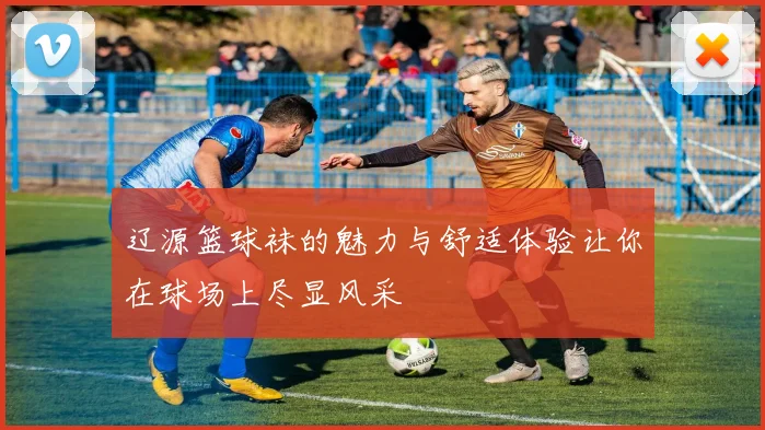 辽源篮球袜的魅力与舒适体验让你在球场上尽显风采