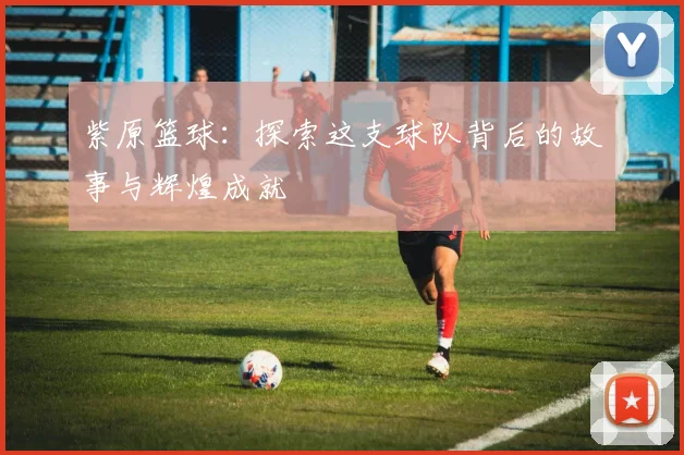 紫原篮球：探索这支球队背后的故事与辉煌成就