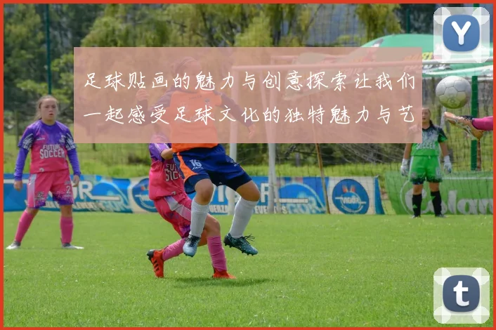 足球贴画的魅力与创意探索让我们一起感受足球文化的独特魅力与艺术表现
